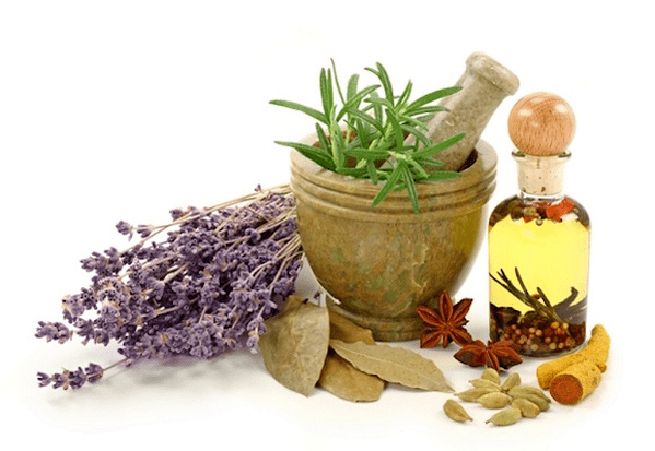 use herbs to enlarge breasts